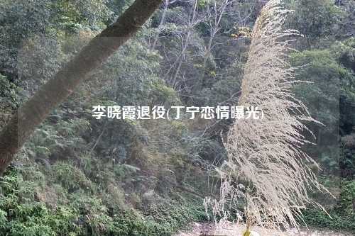 李晓霞退役(丁宁恋情曝光)
