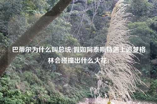 巴蒂尔为什么叫总统(假如阿泰斯特遇上追梦格林会碰撞出什么火花)