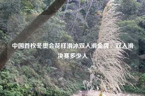 中国首枚冬奥会花样滑冰双人滑金牌，双人滑决赛多少人