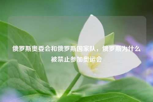 俄罗斯奥委会和俄罗斯国家队，俄罗斯为什么被禁止参加奥运会