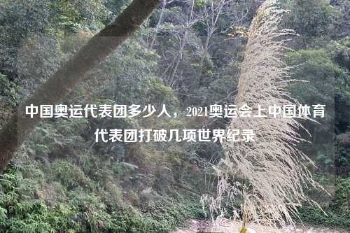 中国奥运代表团多少人，2021奥运会上中国体育代表团打破几项世界纪录
