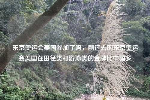东京奥运会美国参加了吗,刚过去的东京奥运会美国在田径类和游泳类的金牌比中国多