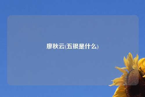廖秋云(五银是什么)