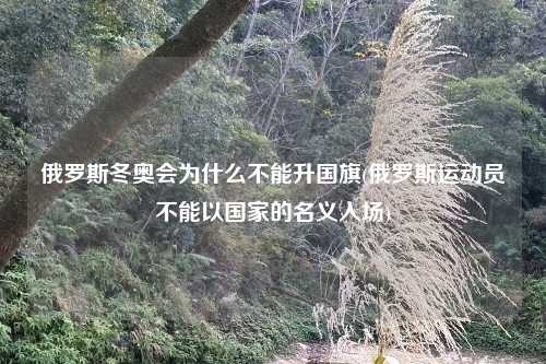 俄罗斯冬奥会为什么不能升国旗(俄罗斯运动员不能以国家的名义入场)