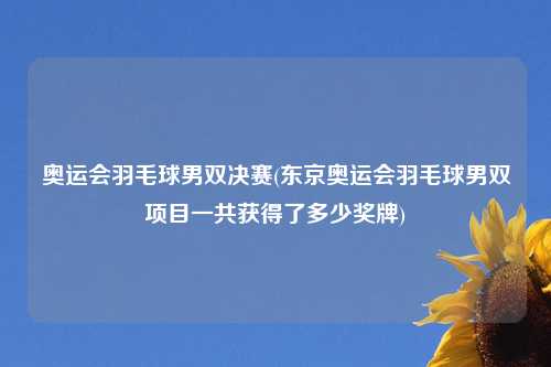 奥运会羽毛球男双决赛(东京奥运会羽毛球男双项目一共获得了多少奖牌)