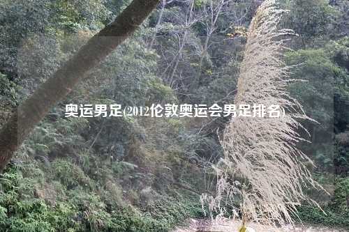 奥运男足(2012伦敦奥运会男足排名)