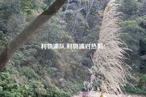 利物浦队,利物浦对热刺?