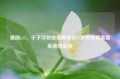 德国u21，于子洋败给瑞典年仅15岁的小将莫雷高德图鲁斯