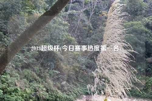 2013超级杯(今日赛事热度第一名)