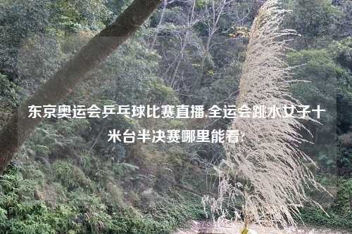 东京奥运会乒乓球比赛直播,全运会跳水女子十米台半决赛哪里能看?