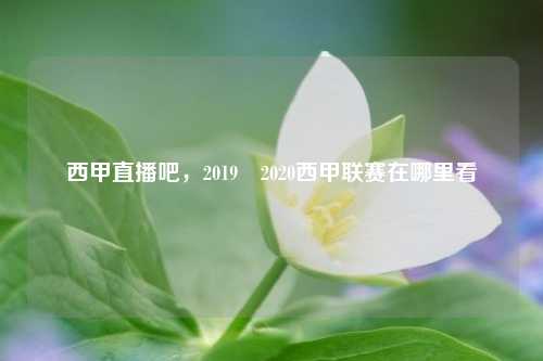 西甲直播吧,2019–2020西甲联赛在哪里看