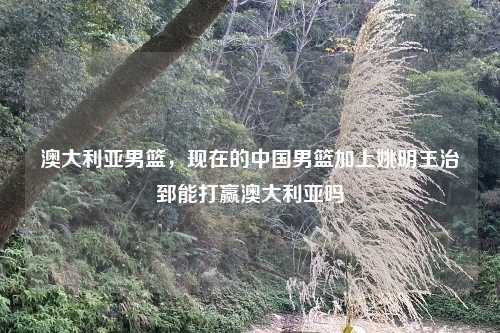 澳大利亚男篮，现在的中国男篮加上姚明王治郅能打赢澳大利亚吗