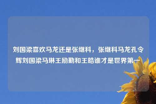 刘国梁喜欢马龙还是张继科，张继科马龙孔令辉刘国梁马琳王励勤和王皓谁才是世界第一