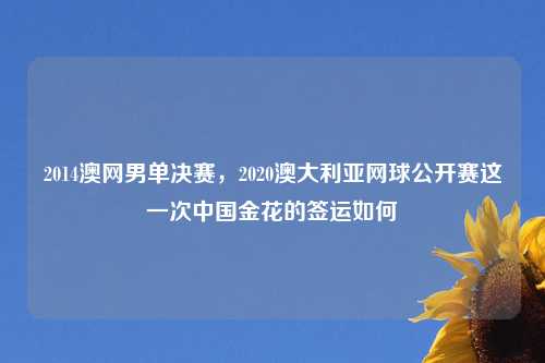 2014澳网男单决赛，2020澳大利亚网球公开赛这一次中国金花的签运如何