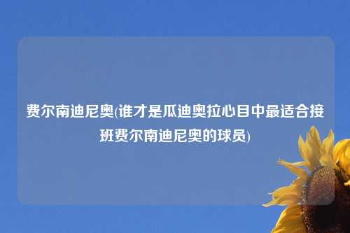 费尔南迪尼奥(谁才是瓜迪奥拉心目中最适合接班费尔南迪尼奥的球员)