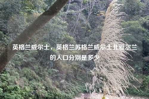 英格兰威尔士,英格兰苏格兰威尔士北爱尔兰的人口分别是多少