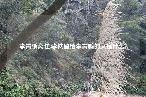 李霄鹏离任,李铁留给李霄鹏的又是什么?