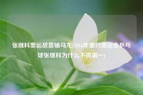 张继科奥运故意输马龙(2016年里约奥运会乒乓球张继科为什么不得第一)