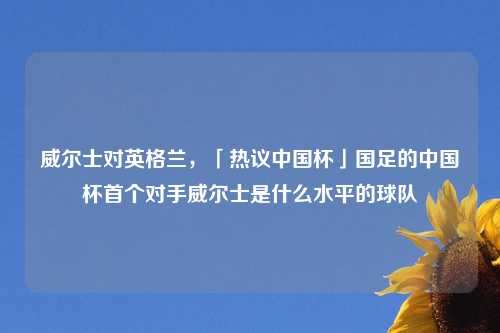 威尔士对英格兰,「热议中国杯」国足的中国杯首个对手威尔士是什么水平的球队