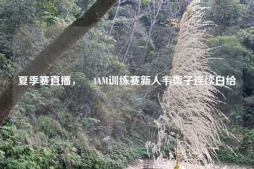 夏季赛直播,4AM训练赛新人韦栗子连续白给