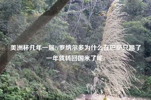美洲杯几年一届?(罗纳尔多为什么在巴萨只踢了一年就转回国米了呢)