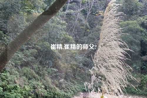 崔精,崔精的师父?