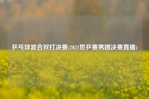 乒乓球混合双打决赛(2021世乒赛男团决赛直播)