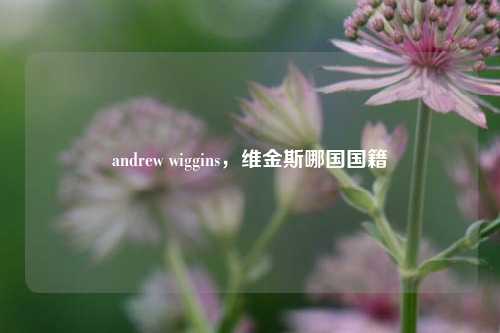 andrew wiggins,维金斯哪国国籍