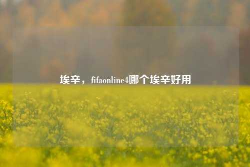 埃辛,fifaonline4哪个埃辛好用