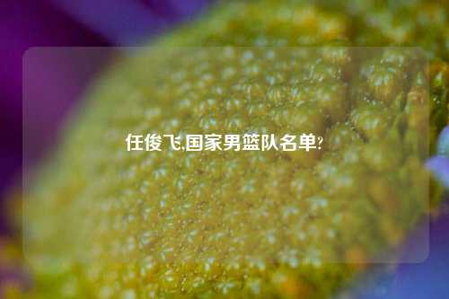 任俊飞,国家男篮队名单?