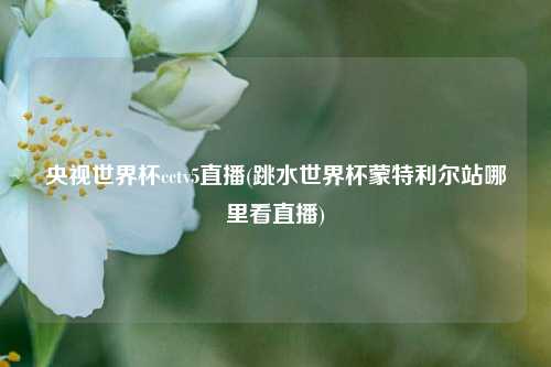 央视世界杯cctv5直播(跳水世界杯蒙特利尔站哪里看直播)