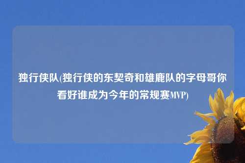 独行侠队(独行侠的东契奇和雄鹿队的字母哥你看好谁成为今年的常规赛MVP)