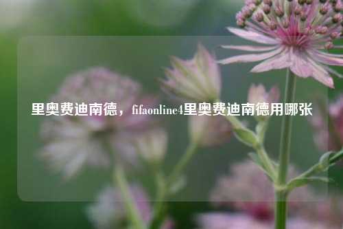 里奥费迪南德,fifaonline4里奥费迪南德用哪张