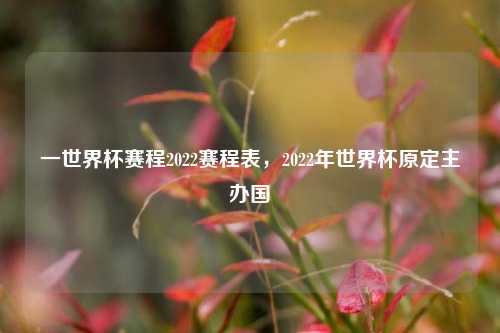 一世界杯赛程2022赛程表,2022年世界杯原定主办国