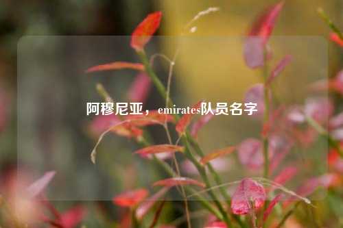 阿穆尼亚,emirates队员名字