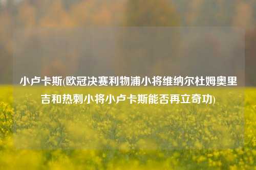 小卢卡斯(欧冠决赛利物浦小将维纳尔杜姆奥里吉和热刺小将小卢卡斯能否再立奇功)