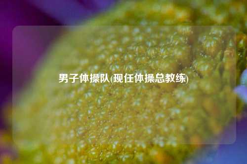 男子体操队(现任体操总教练)