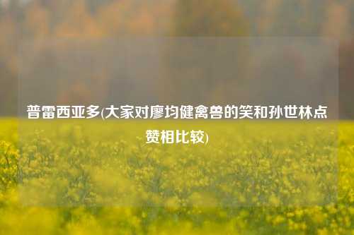 普雷西亚多(大家对廖均健禽兽的笑和孙世林点赞相比较)