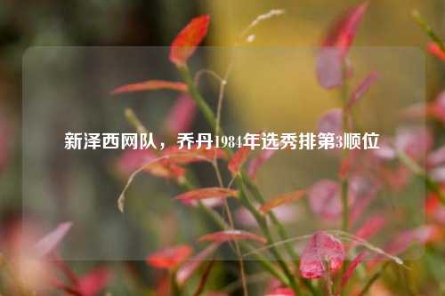 新泽西网队，乔丹1984年选秀排第3顺位