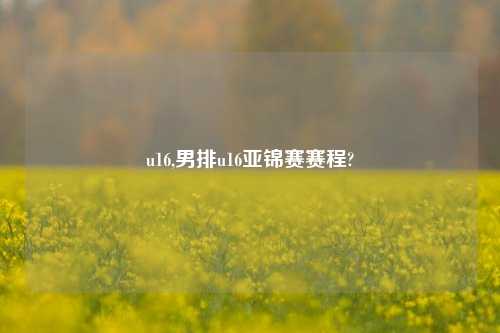 u16,男排u16亚锦赛赛程?