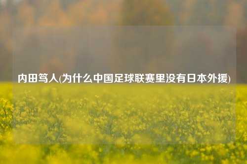 内田笃人(为什么中国足球联赛里没有日本外援)