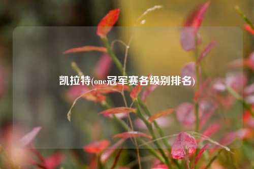 凯拉特(one冠军赛各级别排名)