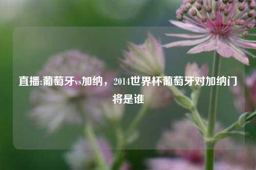 直播:葡萄牙vs加纳，2014世界杯葡萄牙对加纳门将是谁