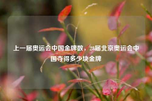 上一届奥运会中国金牌数，28届北京奥运会中国夺得多少块金牌