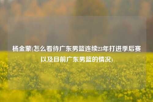 杨金蒙(怎么看待广东男篮连续23年打进季后赛以及目前广东男篮的情况)
