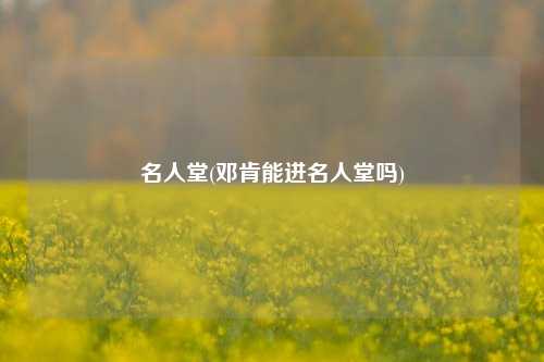 名人堂(邓肯能进名人堂吗)