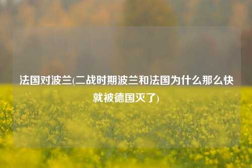 法国对波兰(二战时期波兰和法国为什么那么快就被德国灭了)