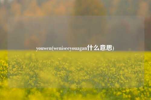 youwen(weniseeyouagan什么意思)