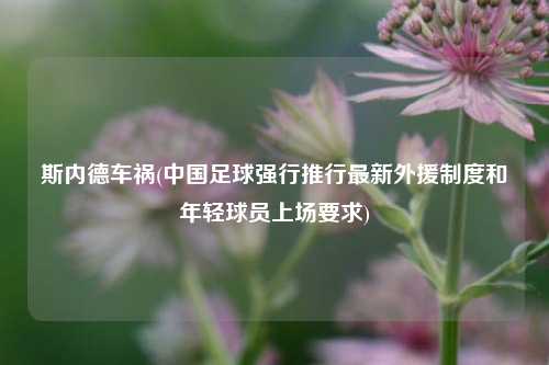 斯内德车祸(中国足球强行推行最新外援制度和年轻球员上场要求)