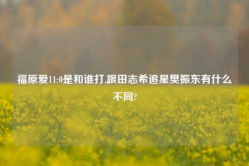 福原爱11:0是和谁打,跟田志希追星樊振东有什么不同?